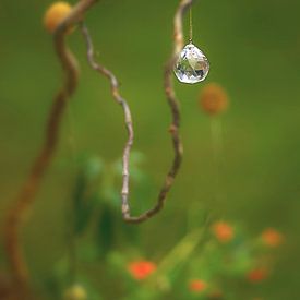 Glaskunst op een tak van Steffi Hommel