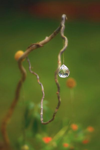 Glass art on a branch by Steffi Hommel