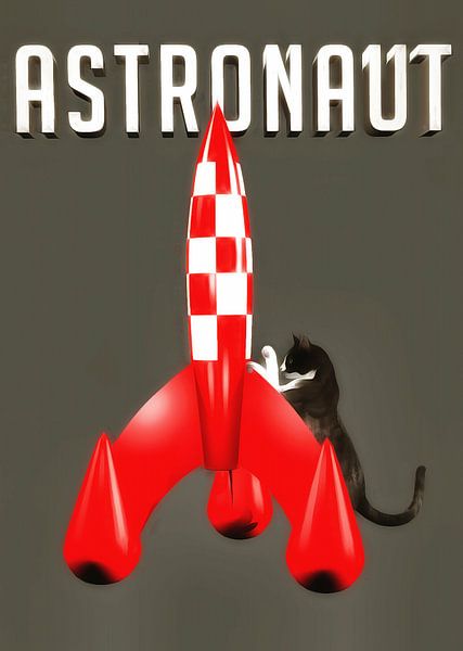 Katten: Astronaut van Jan Keteleer