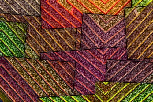 Abstract bulb fields