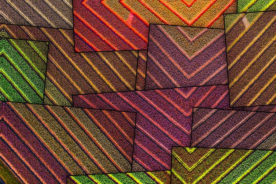 Abstract bulb fields