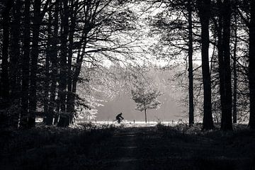 L'homme à vélo dans la forêt sur Luis Boullosa