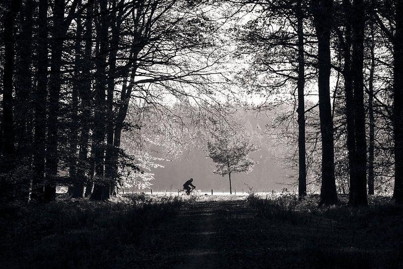Man cycling in the forest by Luis Boullosa
