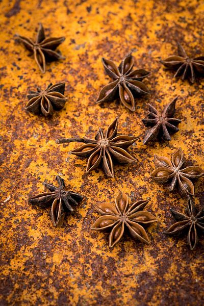 Sternanis von Susan Lambeck