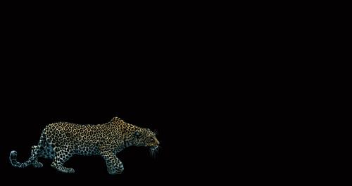 Sluipen in het donker