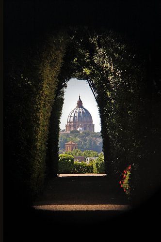 St. Peter's Basilica