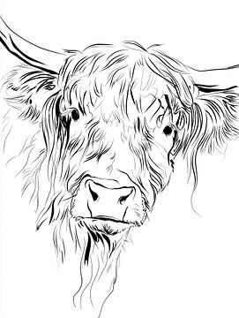 Scottish Highlander | Black and White Line drawing by Lauren Wilde