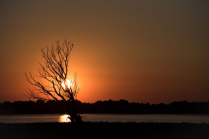 Coucher de soleil par Francis Dost