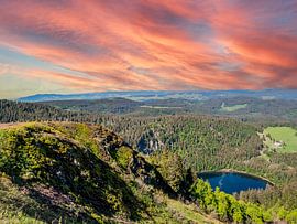 Blick über den Schwarzwald im Frühling von Animaflora PicsStock