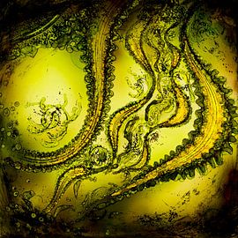 Dream - Forest's Jewels 1of2 by Agnieszka Zietek