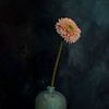 Painterly  Beauty Gerbera van PhotoManiX Artworks