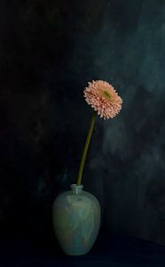 Painterly  Beauty Gerbera