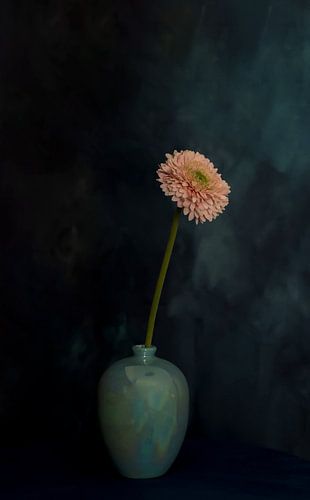 Painterly  Beauty Gerbera