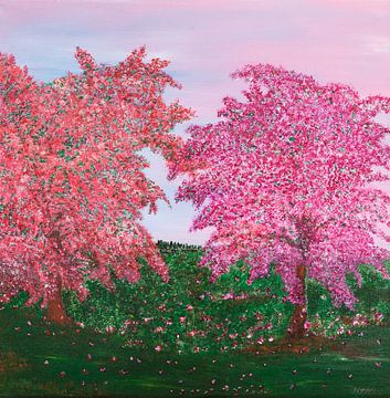 Cerisiers en fleurs sur Ilona Kumschliess