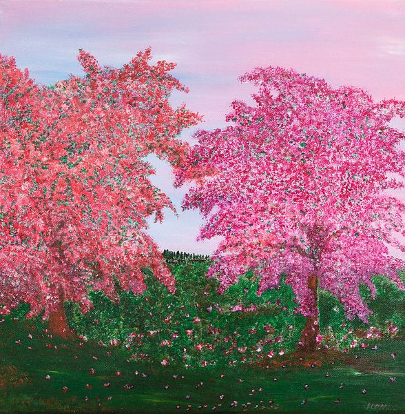 Cerisiers en fleurs par Ilona Kumschliess