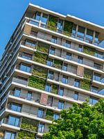 Groene gevel Erfurt - Architectuur & Natuur