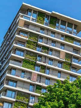 Groene gevel Erfurt - Architectuur & Natuur van Mixed media vector arts