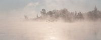 Mystieke Ochtend aan de Nederrijn met mist en sneeuw