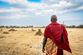 Gardien de la nature sur Dante van Rijn