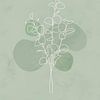Minimalistische illustratie van eucalyptus-takken van Tanja Udelhofen