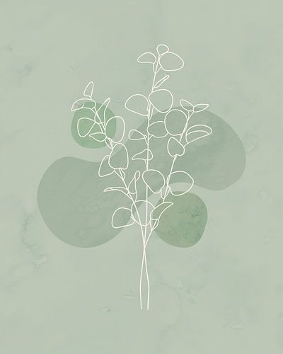 Minimalistische illustratie van eucalyptus-takken