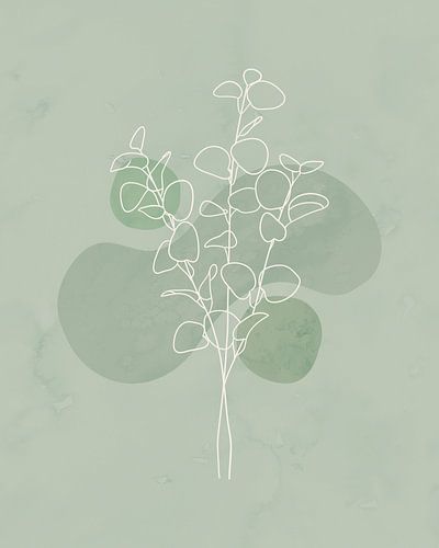 Minimalist illustration of eucalyptus branches