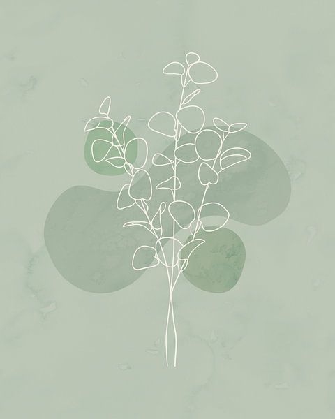 Minimalist illustration of eucalyptus branches