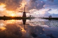 Mills at Kinderdijk during sunrise by Ellen van den Doel thumbnail