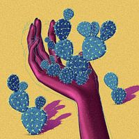 vijgcactus in de hand