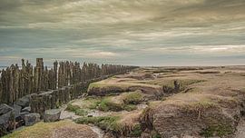 Côte de la mer des Wadden @Moddergat-Paesens (Frise) sur Roland's Foto's
