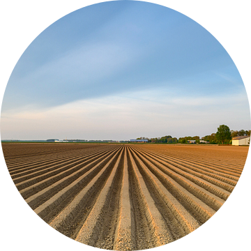 Vers geploegd aardappelveld met rechte aardappelruggen van Sjoerd van der Wal Fotografie