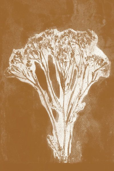 White flower in retro style. Modern botanical minimalist art in white on rust brown. by Dina Dankers