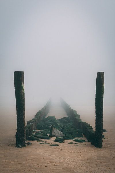 Een pad wat verdwijnt in de mist van Ken Tempelers