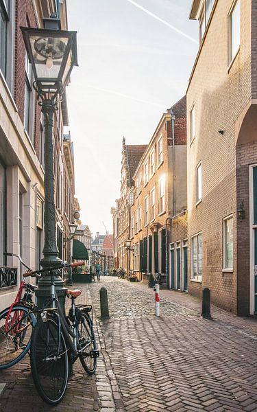 Leiden op zijn mooist! par Dirk van Egmond