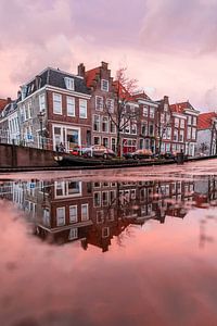 Leiden - Le Nouveau Rhin se reflète dans une flaque d'eau (0122)