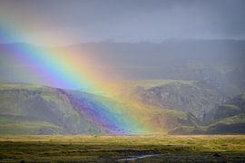 Rainbow by Liefs van Peet