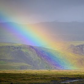 Rainbow by Liefs van Peet