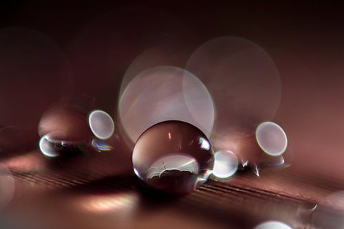 Bokeh de goutte sur Bert Nijholt