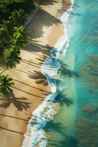 A bird's eye view of a tropical paradise