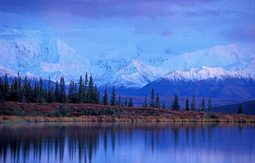 Alaska, Denali National Park, Wonderlake