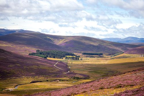 Purple mountains of Scotland