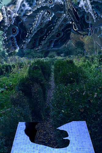 Blue Garden
