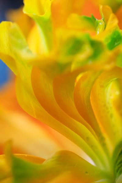 Abstract van Anette Jäger