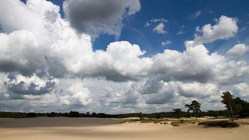 De Soesterduinen 