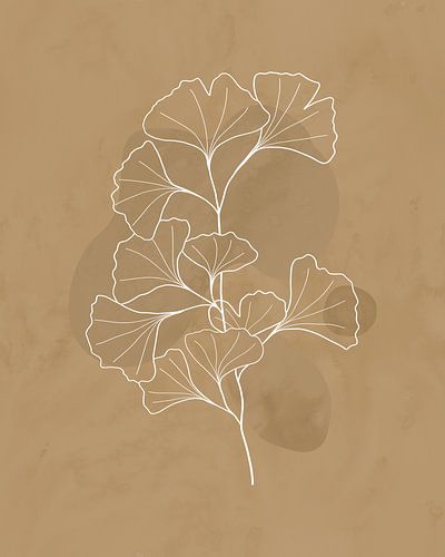 Minimalist illustration of Ginkgo leaves 2