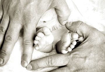 Les pieds de bébé et les mains de papa sur Stefan Dinse