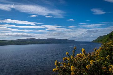 Schotland - Zicht op Loch Ness van Rick Massar