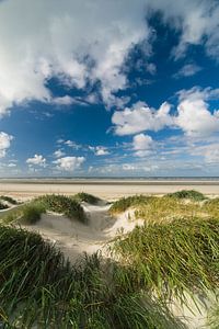 Dünen auf der Insel Rottumeroog im Wattenmeer von Sjoerd van der Wal Fotografie