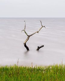 Rising water - color by Vincent L.