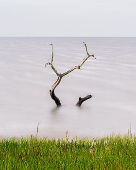 Stijgend water - kleur